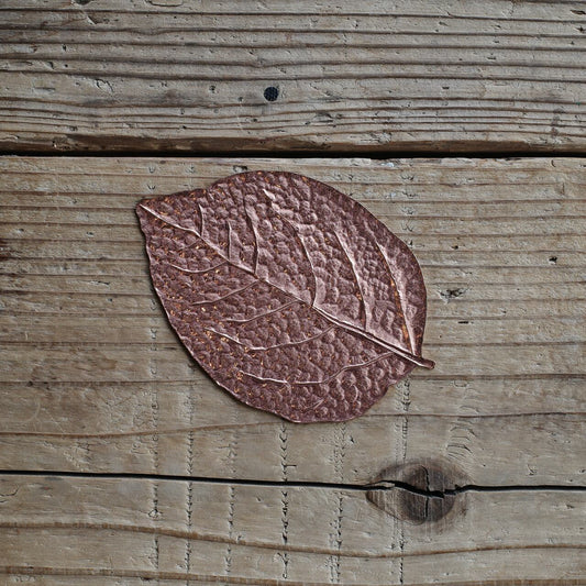 《銅の木の葉のトレイ》LEAF PLATE(COPPER) | PICUS