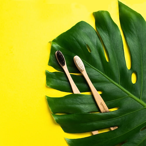 《北欧発、人と環境に優しいバンブー歯ブラシ》バンブー歯ブラシ（大人用）お取り扱いカラー5色 | THE HUMBLE CO.