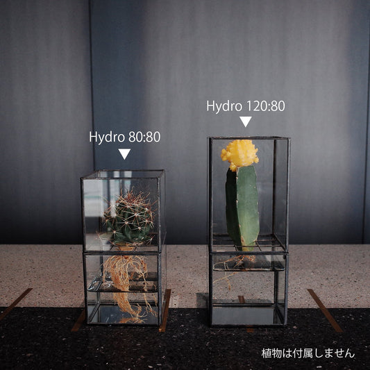 《ステンドグラス技法で製作されたテラリウム容器》Hydro 80:80 | TERRA