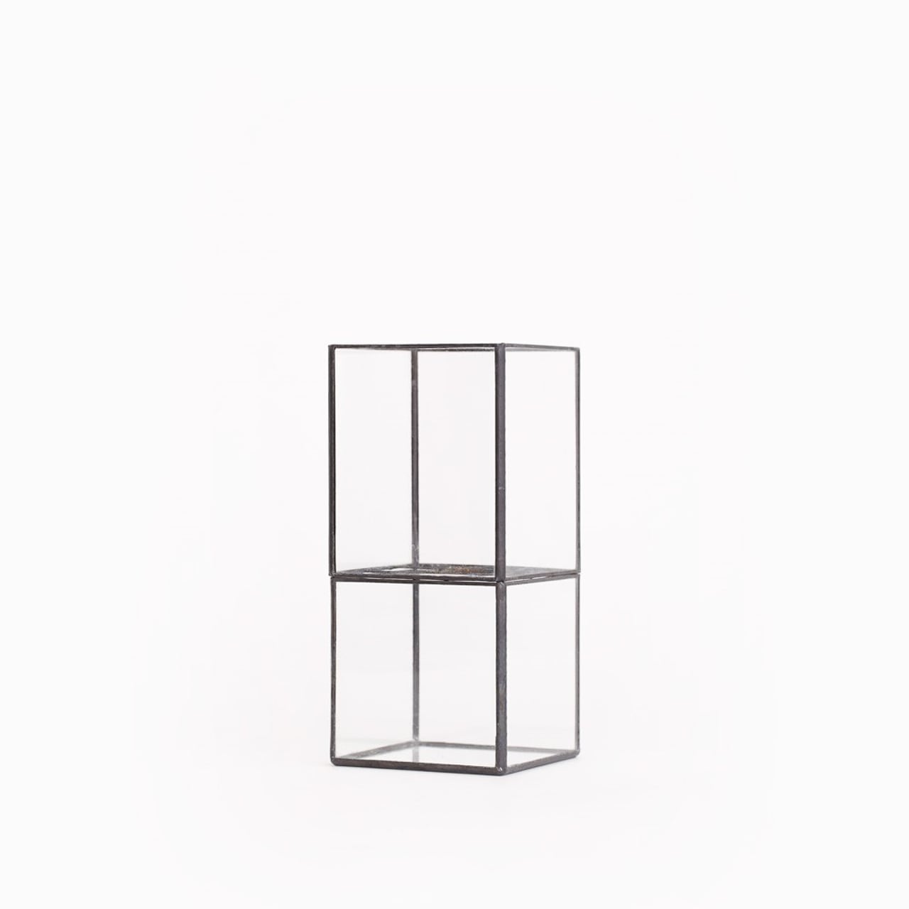 《ステンドグラス技法で製作されたテラリウム容器》Hydro 120:80 | TERRA