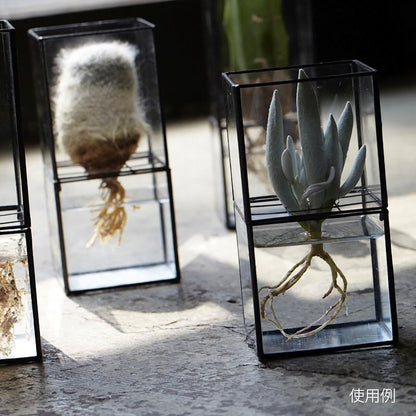 《ステンドグラス技法で製作されたテラリウム容器》Hydro 80:80 | TERRA