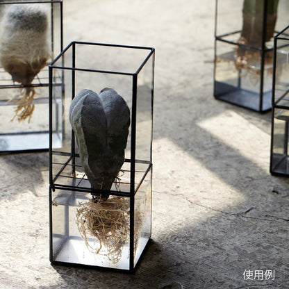 《ステンドグラス技法で製作されたテラリウム容器》Hydro 120:80 | TERRA