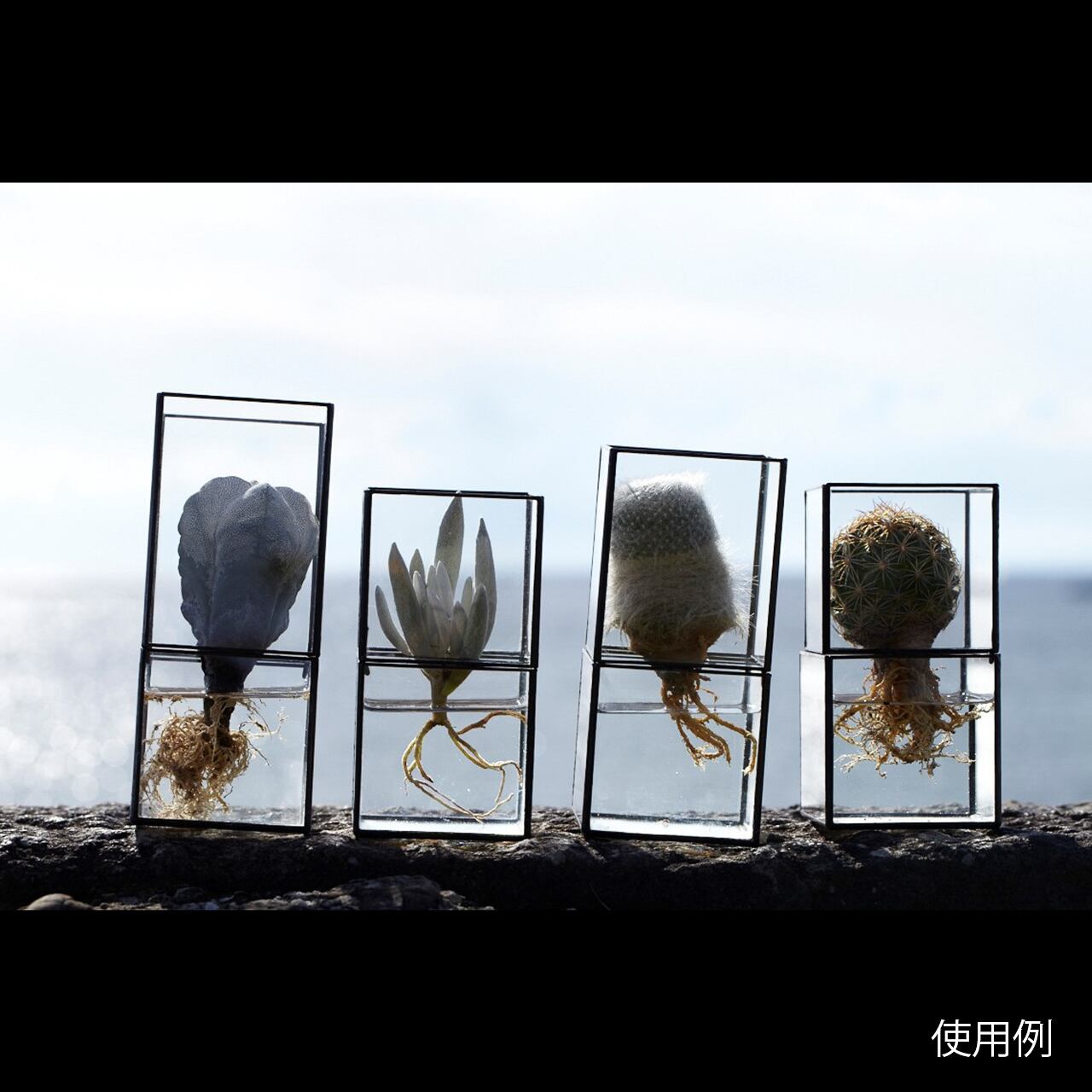 《ステンドグラス技法で製作されたテラリウム容器》Hydro 80:80 | TERRA