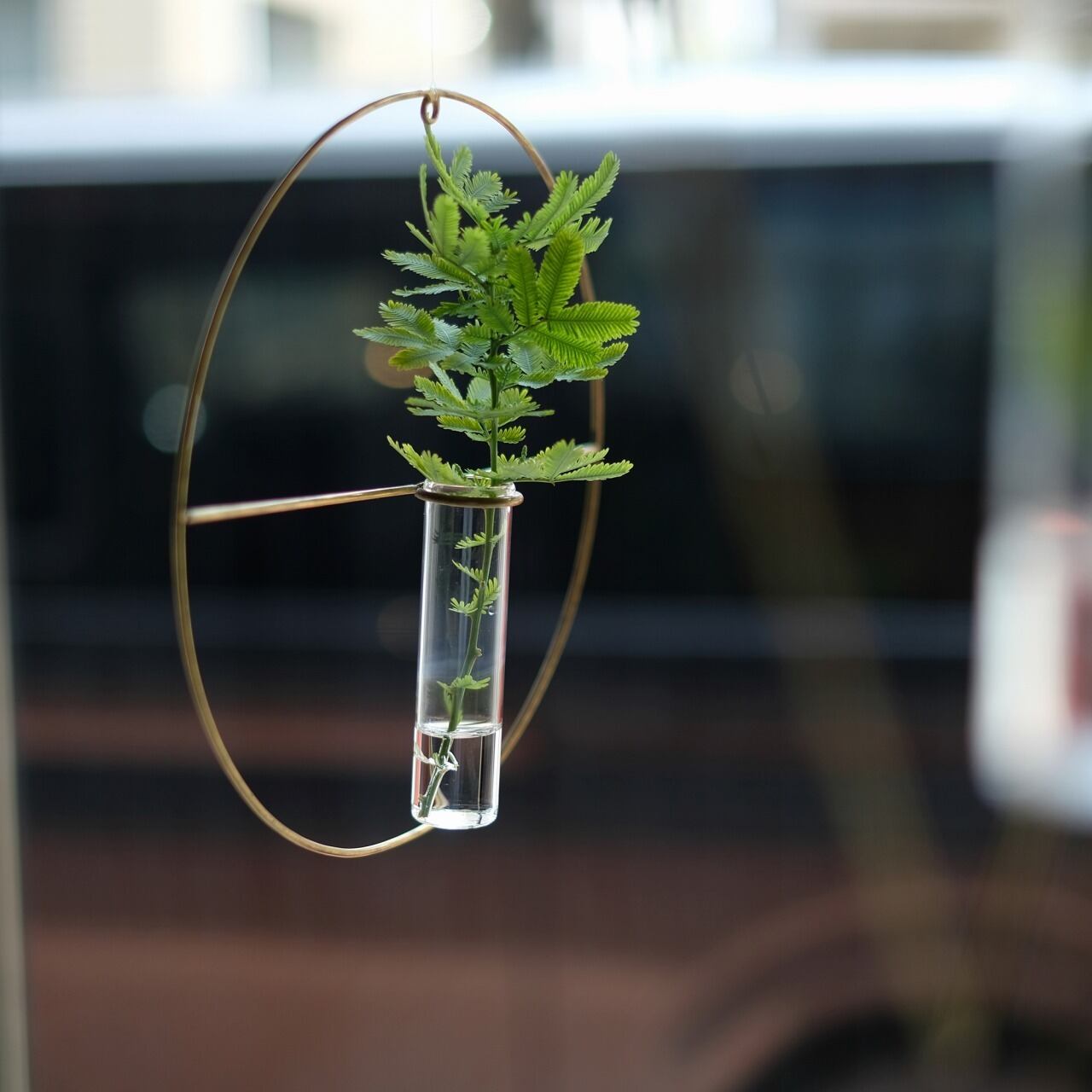 《真鍮フレームとガラス管の壁掛け一輪挿し》PIKE wall brass vase | WEST VILLAGE TOKYO