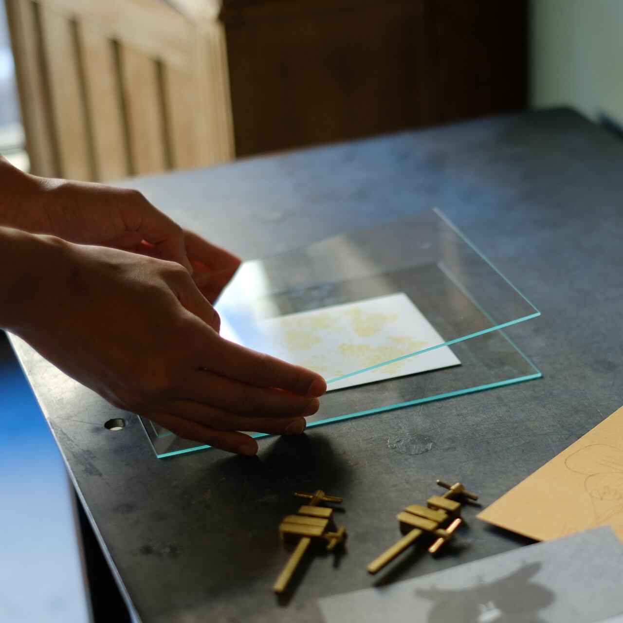 《真鍮ハタガネのフォトフレーム》BRANCH PHOTO FRAME | WEST VILLAGE TOKYO