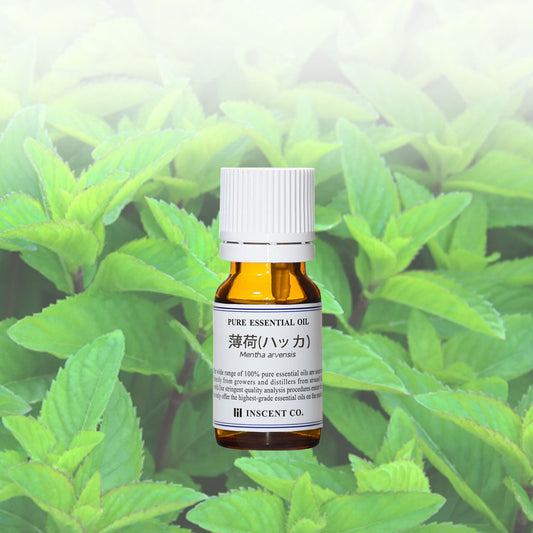 《和精油》薄荷 （和ハッカ） エッセンシャルオイル 精油／日本アロマ環境協会（AEAJ）表示基準適合精油｜INSCENT CO.