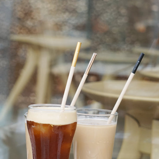 《アルミ製・紙ストロー用アダプター》紙ストローの吸い口にさして口当たりを改善するアルミ製アダプター（専用ソフトケース付き） | THE STRAW 6（4色）