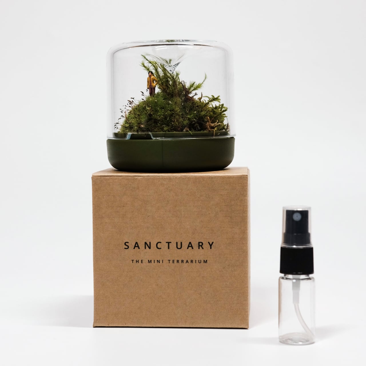 《小さな苔テラリウム・パルダリウム用容器》Sanctuary S2 Terrarium チャコール/グレー（苔は付属しません） | Botanica