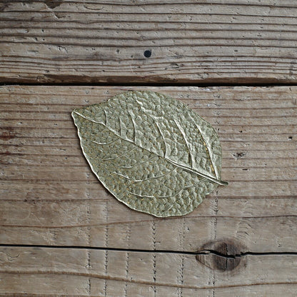 《真鍮の木の葉のトレイ》LEAF PLATE（BRASS） | PICUS
