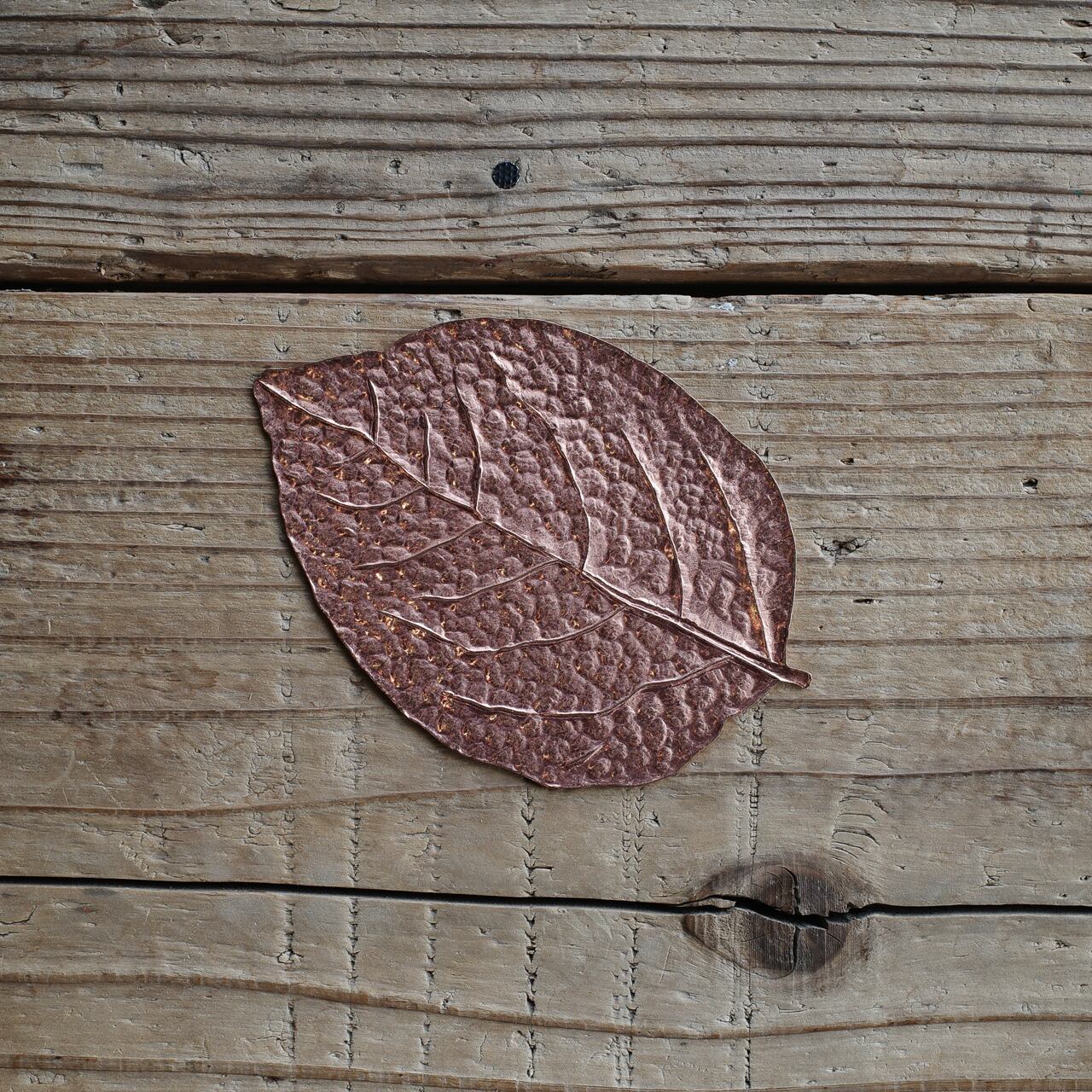 《銅の木の葉のトレイ》LEAF PLATE（COPPER） | PICUS