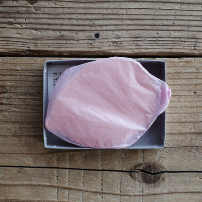 《銅の木の葉のトレイ》LEAF PLATE（COPPER） | PICUS