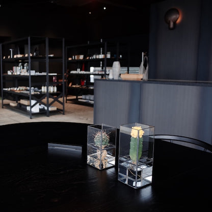 《ステンドグラス技法で製作されたテラリウム容器》Hydro 80:80 | TERRA